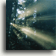 Maritime Forest Icon